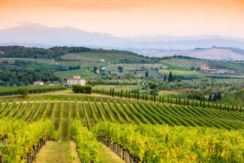 From Florence: Tuscany Wine & Food Tour with Guide - Greve in Chianti: a short town break