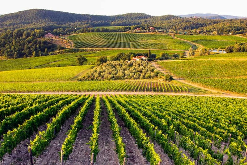 From Florence: Tuscany Wine & Food Tour with Guide - Is $175 a fair price?