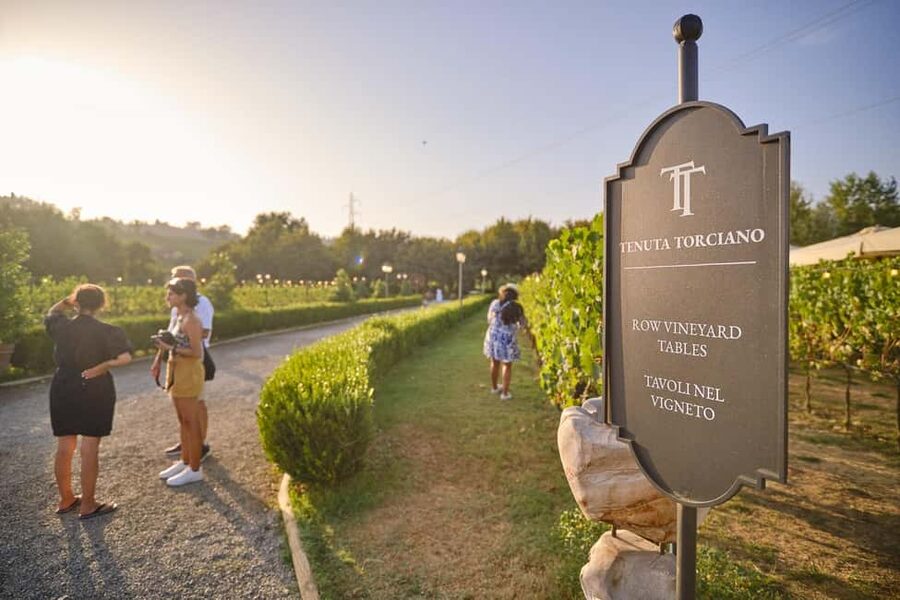 From Florence: Wine Tasting and Dinner in Chianti Vineyards - Leaving Florence for the Chianti hills
