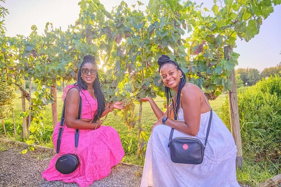 From Florence: Wine Tasting and Dinner in Chianti Vineyards - The second estate: dinner among the vines