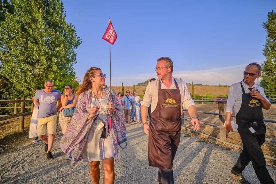 From Florence: Wine Tasting and Dinner in Chianti Vineyards - Wine pairings, not just wine samples