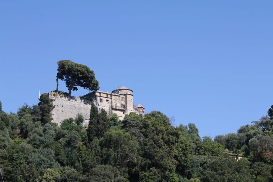 From Genoa: Boat Tour to Portofino with Free Time to Explore - Fitting Castello Brown into two hours