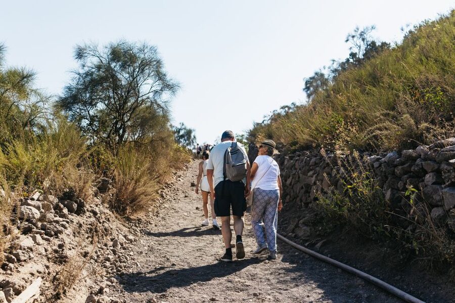 From Naples: All-Inclusive Mount Vesuvius Half-Day Tour - Weather, clothing, and practical preparation