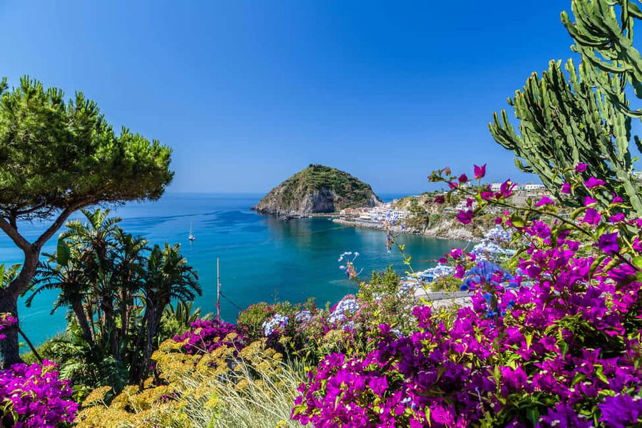 From Naples: Amalfi Coast Day Trip with Sorrento & Positano - Key points at a glance