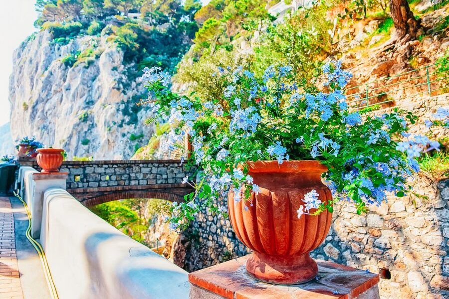 From Naples: Capri and Blue Grotto Day Tour - A full Capri day from Naples