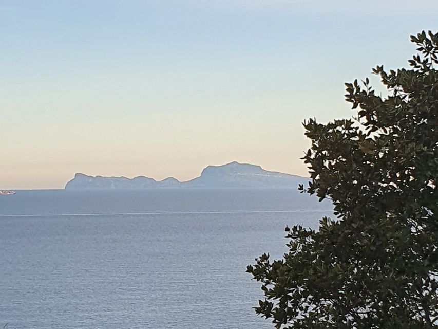 From Naples: Capri Day Trip with Lunch - Crossing the Bay of Naples by hydrofoil