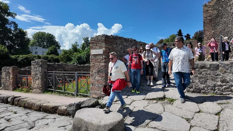 From Naples: Guided tour of Pompeii skip-the-line and round-trip train - Key points to know before booking