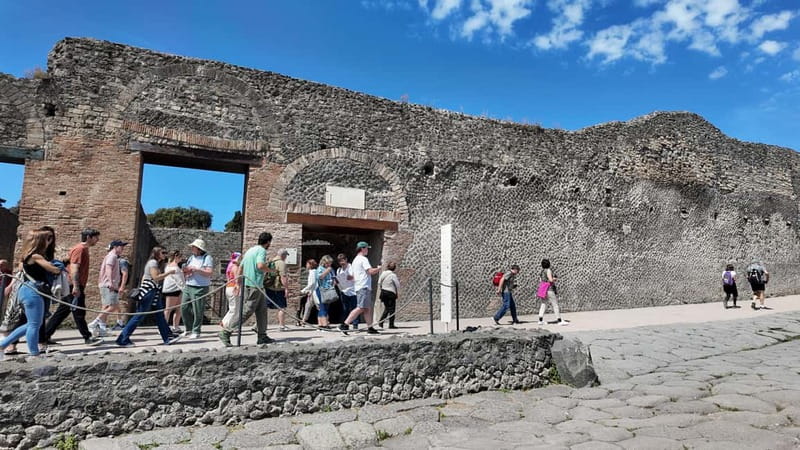 From Naples: Guided tour of Pompeii skip-the-line and round-trip train - Who will like this Pompeii tour