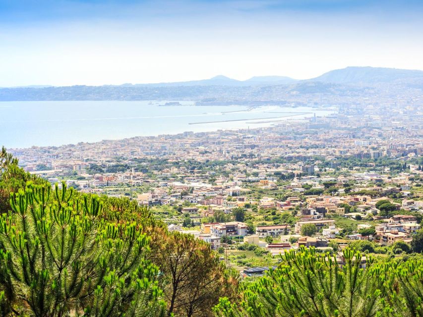 From Naples: Mount Vesuvius Transfer with Entry Tickets - The Crater Walk and the Cost of Limited Time