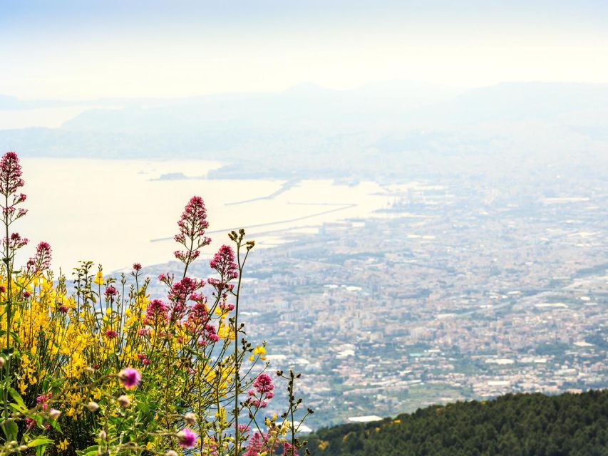 From Naples: Mount Vesuvius Transfer with Entry Tickets - Who Gets the Best Value From the $51.24 Price