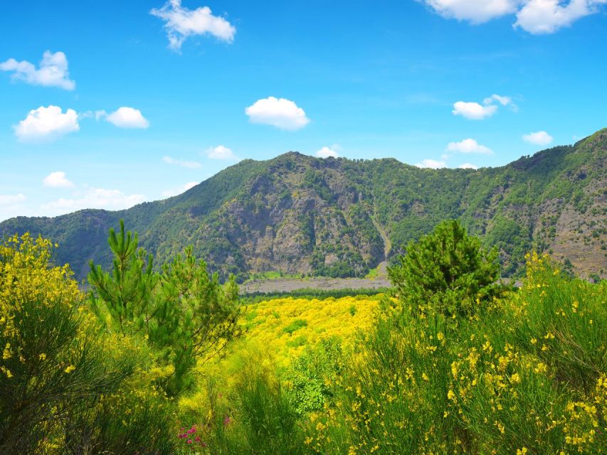 From Naples: Mount Vesuvius Transfer with Entry Tickets - My Verdict: Book It If You Want Vesuvius Made Simple