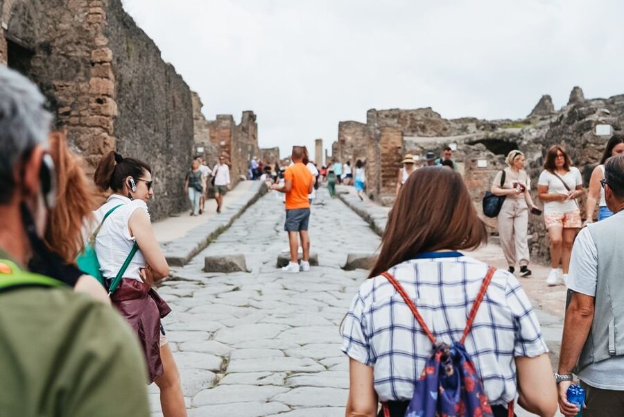 From Naples or Sorrento: Pompei Half-Day Tour - The guides make the difference