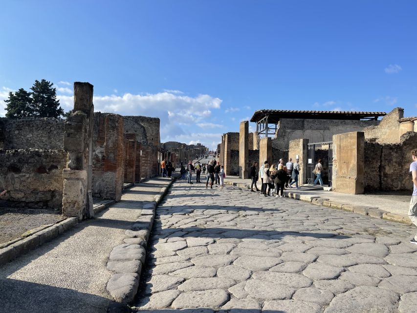 From Naples: Pompeii Guided Tour with Skip-the-Line Tickets - Key points to know before booking