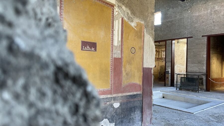 From Naples: Pompeii Guided Tour with Skip-the-Line Tickets - Entering through the separate entrance
