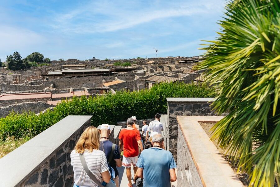 From Naples: Pompeii Ruins & Mount Vesuvius Day Tour - Is the $120.84 price fair?