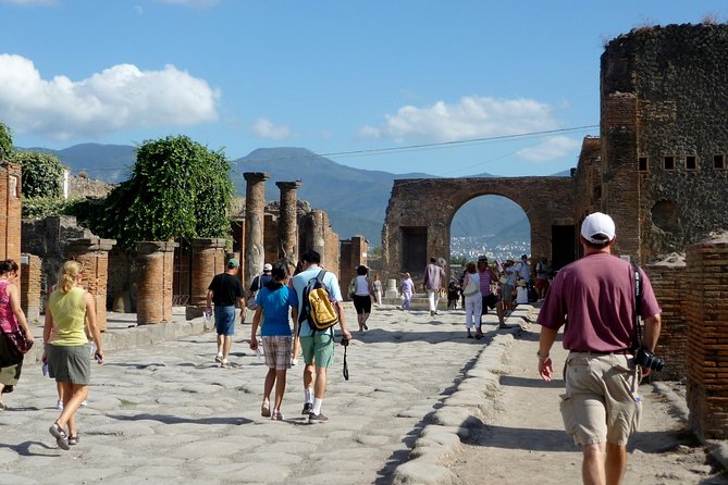 From Naples: Skip the Line Pompeii Guided Tour – Small Group - Who should book this Pompeii tour?