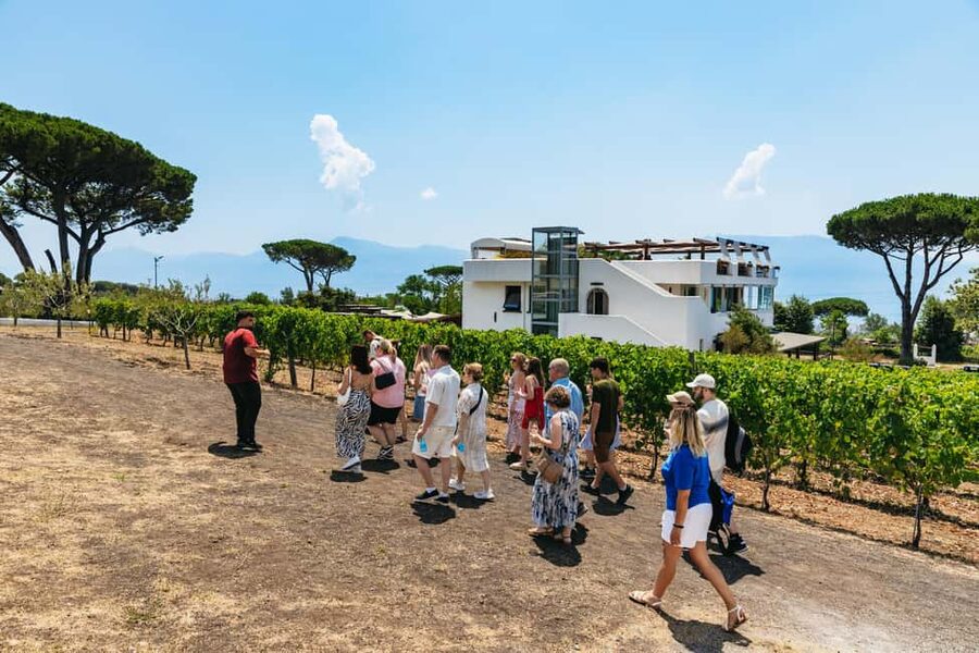 From Naples: Wine Tasting Tour on Vesuvius Slopes with Lunch - Value, cancellation, and practical booking advice