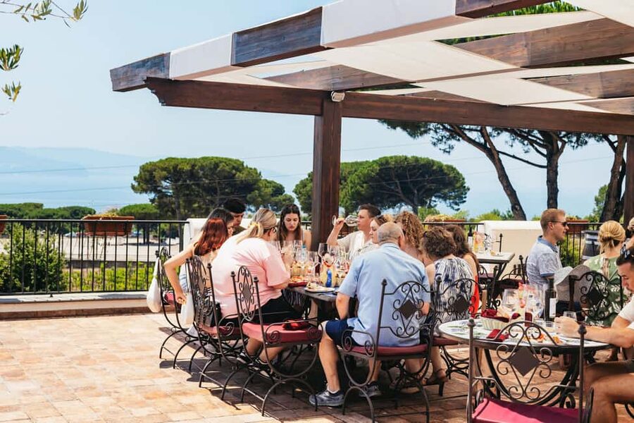 From Naples: Wine Tasting Tour on Vesuvius Slopes with Lunch - Why Vesuvius makes the wine taste different