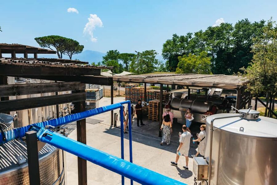 From Naples: Wine Tasting Tour on Vesuvius Slopes with Lunch - Time for photographs and the farm shop