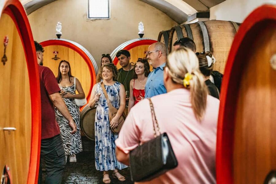 From Naples: Wine Tasting Tour on Vesuvius Slopes with Lunch - A four-hour outing, with a little flexibility