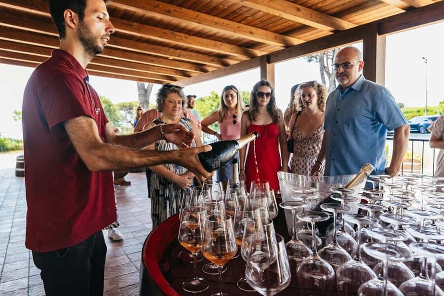 From Naples: Wine Tasting Tour on Vesuvius Slopes with Lunch - Who will enjoy this Vesuvius wine tour