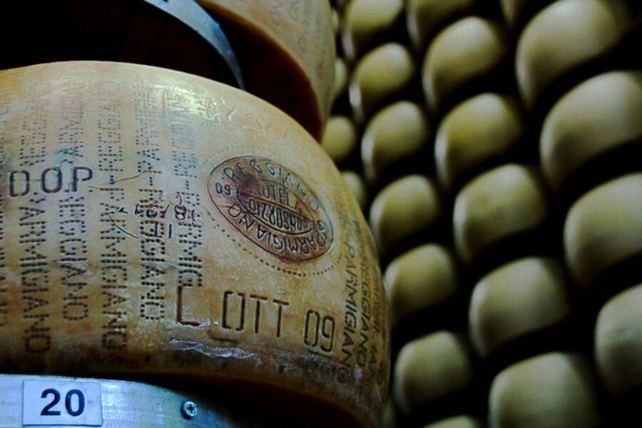 From Parma: Parmesan, Parma Ham & Balsamic Vinegar Tour - Why Parma’s food deserves a full day
