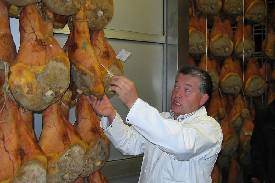 From Parma: Parmesan, Parma Ham & Balsamic Vinegar Tour - A proper trattoria lunch in the middle of the day