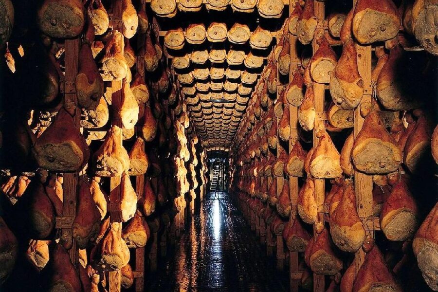 From Parma: Parmesan, Parma Ham & Balsamic Vinegar Tour - What the guide and driver add to the day