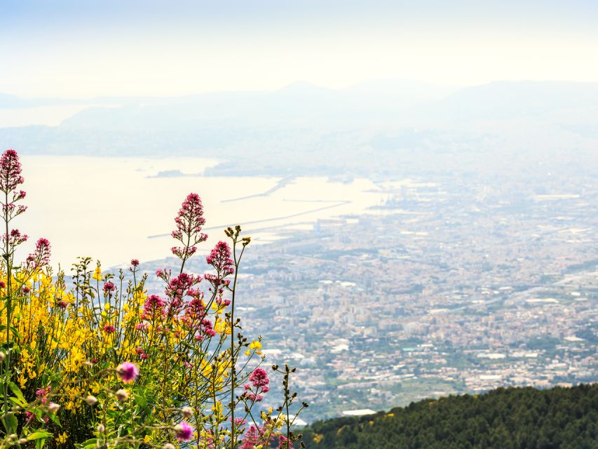 From Pompeii: Bus Transfer to Vesuvius with Park Entry Fee - Key points to know before booking
