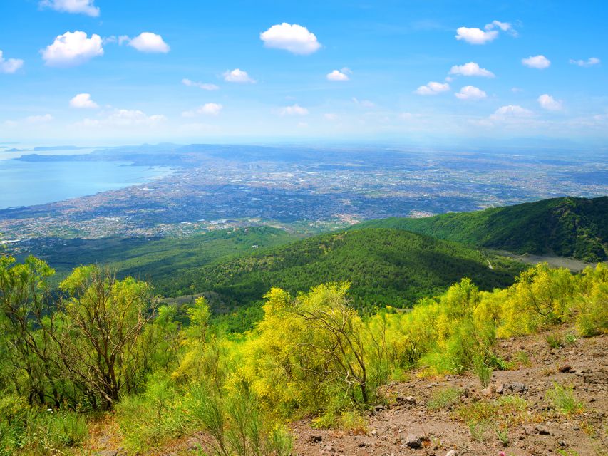 From Pompeii: Bus Transfer to Vesuvius with Park Entry Fee - Why this bus ride makes sense from Pompeii