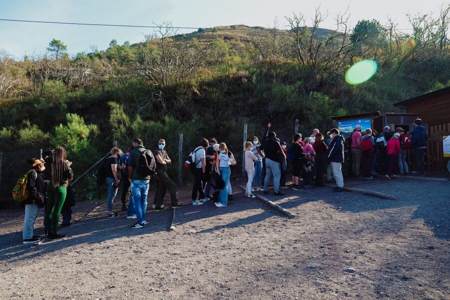From Pompeii: Mount Vesuvius Guided Tour with Transfer - Should you book it?