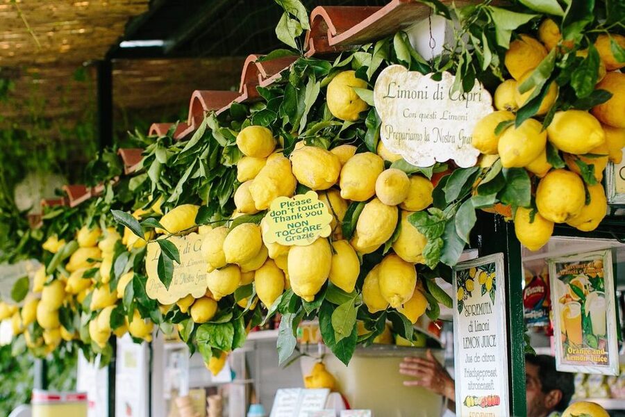 From Positano: Sorrento Coast & Capri Full-Day Trip by Boat - Food, drinks, and the limoncello finish