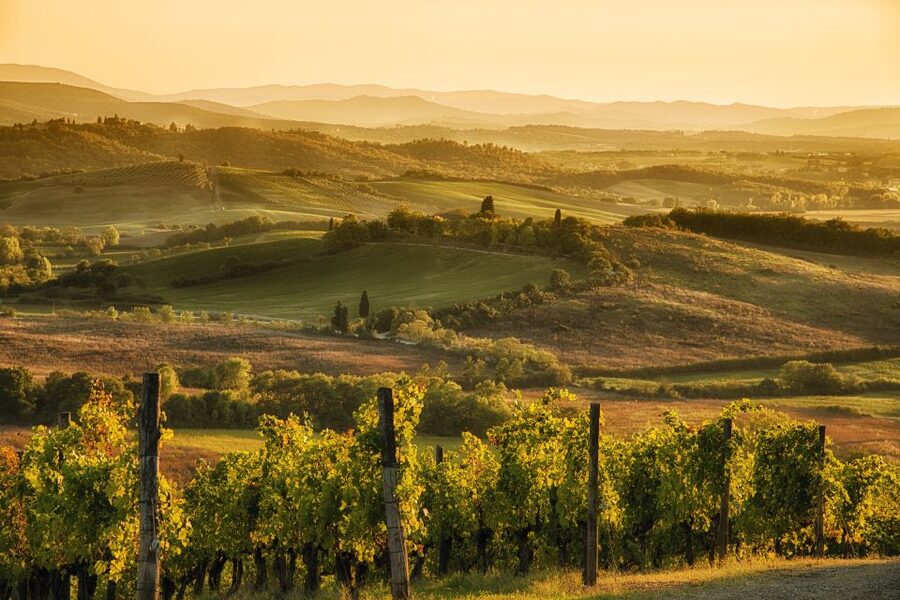 From Rome: Discover Florence and Pisa in a Full-Day Tour - A big Tuscany day from Rome
