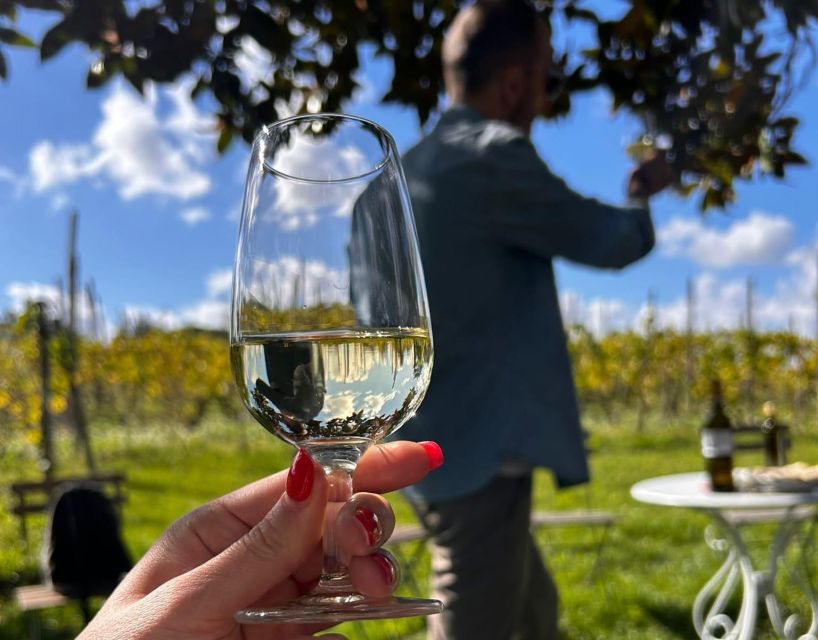 From Rome: Half-Day Frascati Wine Tour with Farmhouse Lunch - Who will enjoy this Frascati outing?