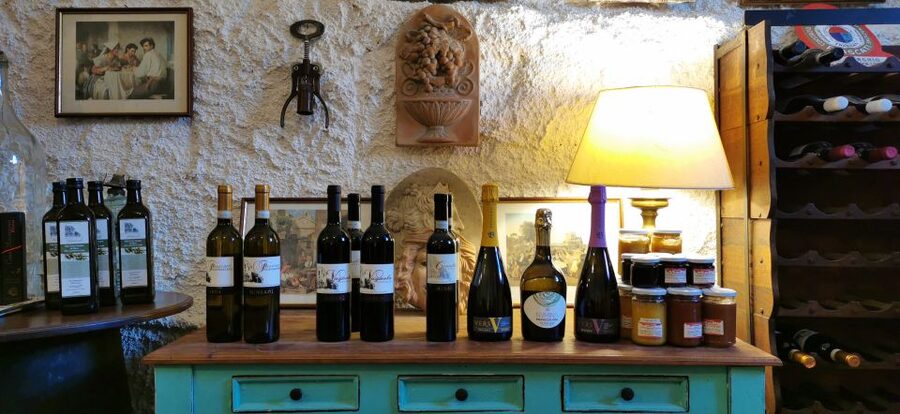 From Rome: Half-Day Frascati Wine Tour with Farmhouse Lunch - Three wines, olive oil, and a proper farmhouse lunch