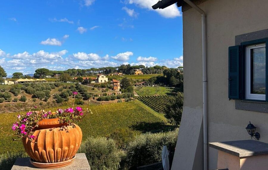 From Rome: Half-Day Frascati Wine Tour with Farmhouse Lunch - Is the $99 price fair?