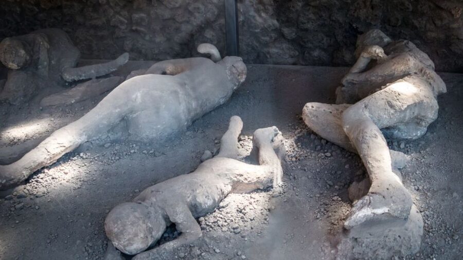 From Rome: Pompeii and Naples Day Trip by High-Speed Train - Final verdict