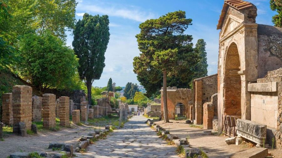 From Rome: Pompeii and Naples Day Trip by High-Speed Train - What $259 buys you