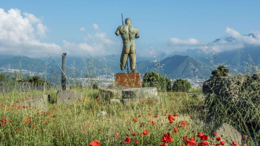 From Rome: Pompeii and Naples Day Trip by High-Speed Train - The long-day reality