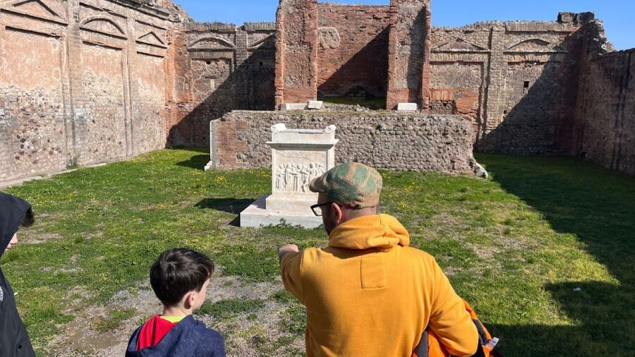 From Rome: Pompeii and Naples Day Trip by High-Speed Train - Who should book this Pompeii and Naples day trip?