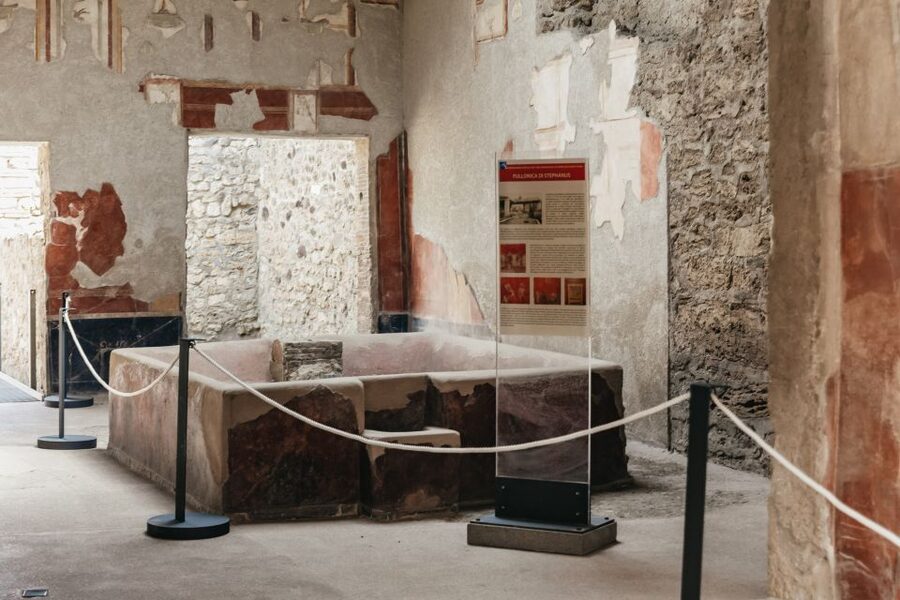 From Rome: Pompeii Day Trip with Optional Vesuvius and Lunch - Should you book it?