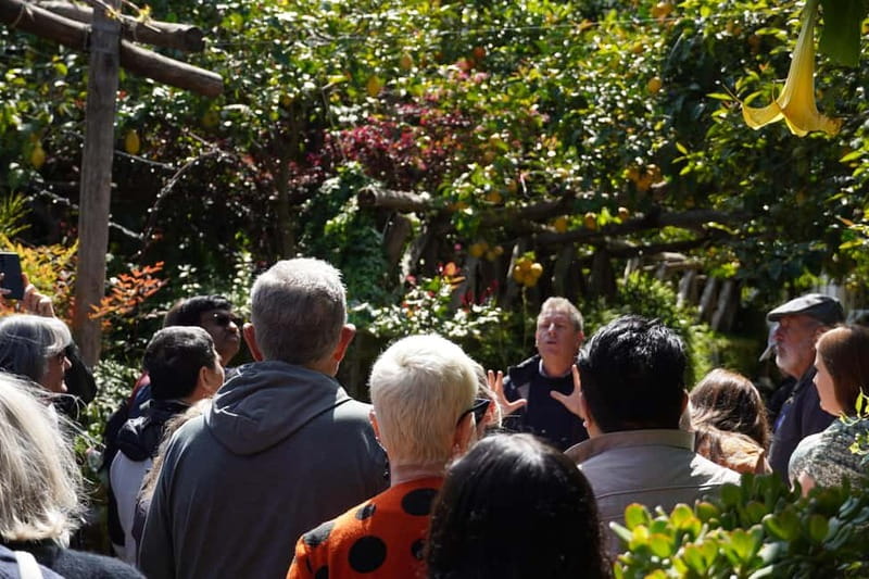 From Rome: Sorrento & Pompeii Day Trip with Guide or Ticket - Key points at a glance