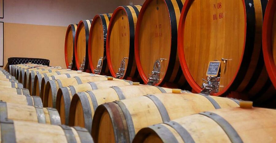 From Siena: Brunello di Montalcino Guided Wine Tour W/ Lunch - First winery: vines, cellars, and the first Brunello tasting