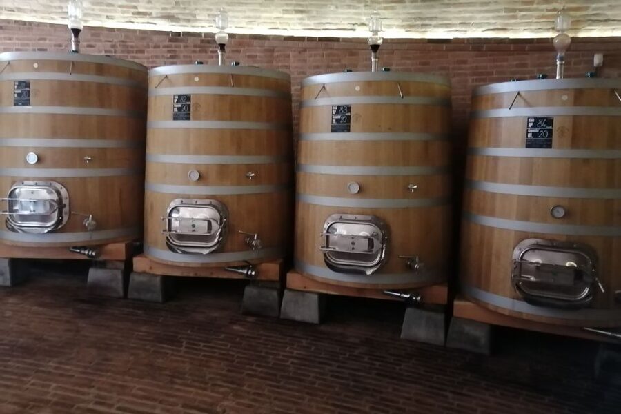 From Siena: Brunello di Montalcino Guided Wine Tour W/ Lunch - Montalcino town and its medieval fortress