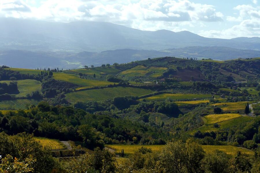 From Siena: Brunello di Montalcino Guided Wine Tour W/ Lunch - The family winery lunch