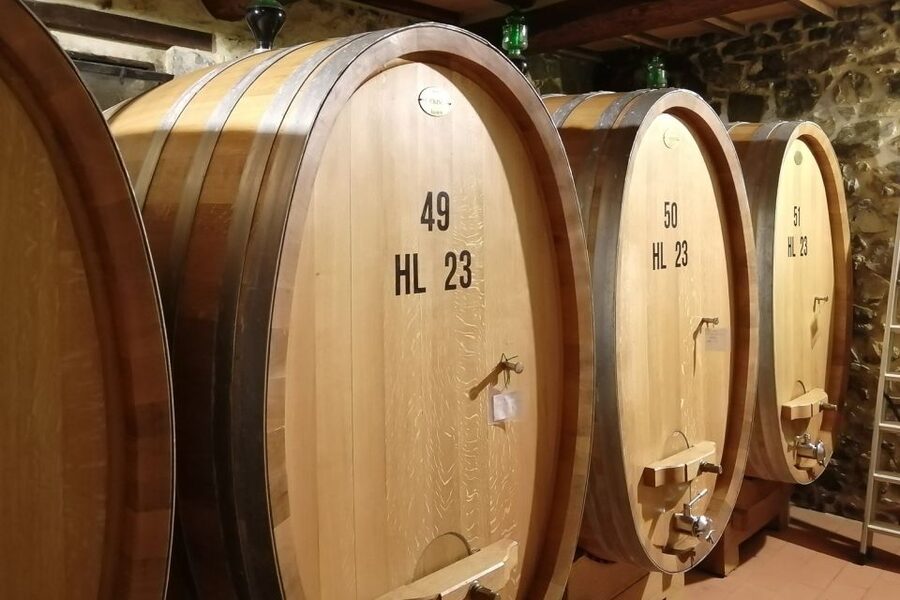 From Siena: Brunello di Montalcino Guided Wine Tour W/ Lunch - Guides, group size, and the feel of the day