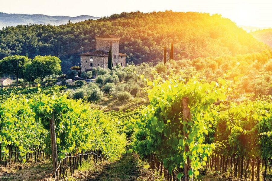 From Siena: Chianti and Castles Tour with Wine Tastings - Should you book it?