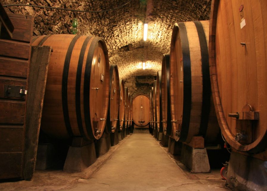 From Siena: Chianti and Castles Tour with Wine Tastings - The second winery and the value of contrast