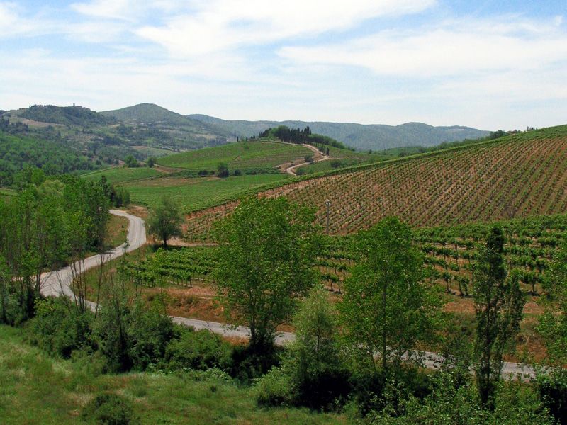 From Siena: Chianti and Castles Tour with Wine Tastings - Timing, comfort, and the small practical details