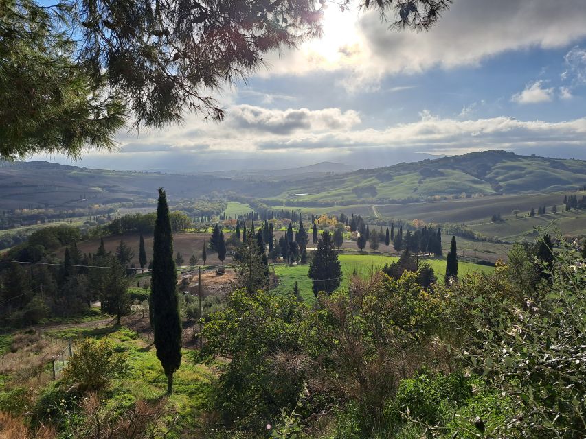 From Siena: Pienza and Montepulciano Small-Group Tour - Pienza, Pope Pius II’s ideal town